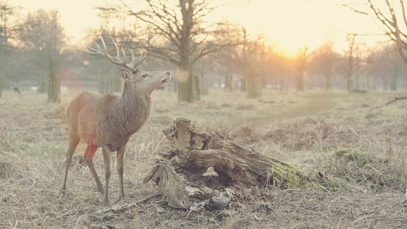 Spirituelle Wachstumsstrategien