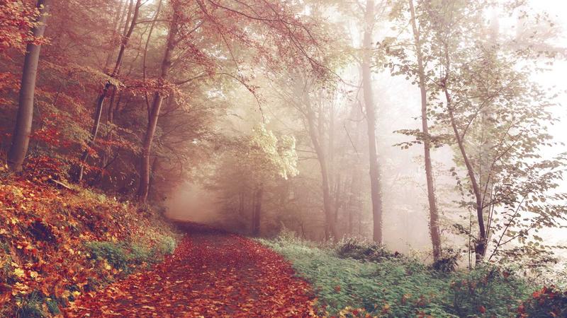 warum fühlen sich manche Erwachen wie eine Depression an